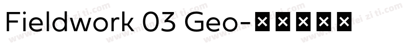 Fieldwork 03 Geo字体转换
